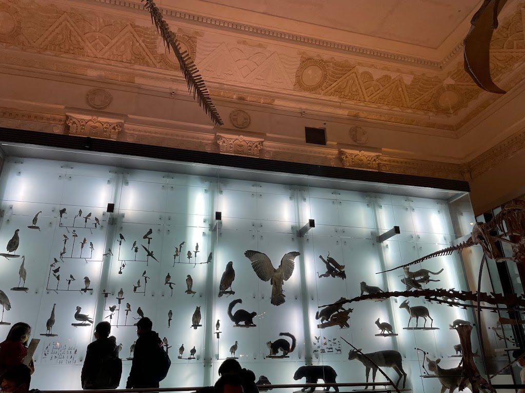 石尚恐龍主題餐廳(臺博古生物館) 的照片