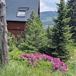 Photo n°17 de l'avis de Jürgen.r fait le 26/06/2023 à 12:23 sur le  Adlerhütte à Oberwiesenthal