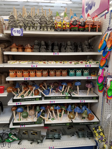 Discount Store «99 Cents Only Stores», reviews and photos, 4144 N Oracle Rd, Tucson, AZ 85705, USA