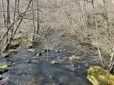 Gorges de Saint-Aubert à Putanges-le-Lac