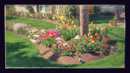 Landscaper «Elite Grounds L.C.», reviews and photos, 800 S Main St, Pleasant Grove, UT 84062, USA