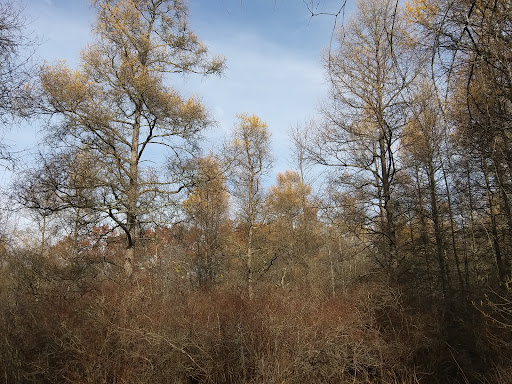 Nature Preserve «Tom S Cooperrider-Kent Bog State Nature Preserve», reviews and photos, 1028 Meloy Rd, Kent, OH 44240, USA