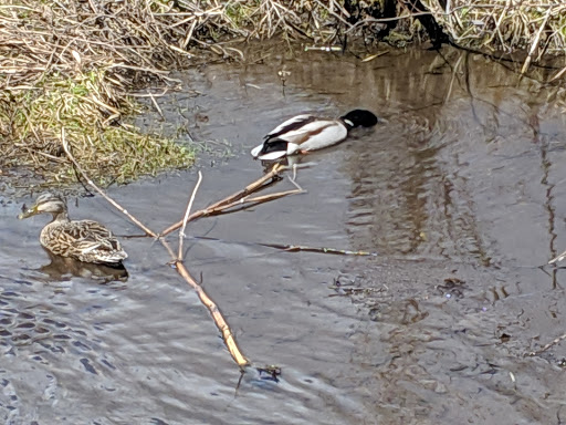 Nature Preserve «Lime Hollow Center for Environment and Culture», reviews and photos, 338 McLean Rd, Cortland, NY 13045, USA