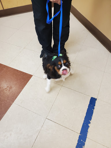 Pet Supply Store «PetSmart», reviews and photos, 3370 Shoppers Dr, McHenry, IL 60050, USA