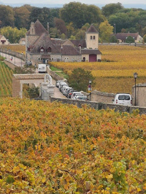 Vignoble de la côte de Nuits à Chambolle-Musigny