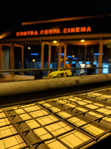 Movie Theater «Contra Costa Stadium Cinemas», reviews and photos, 555 Center Ave, Martinez, CA 94553, USA
