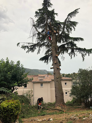 ARBO BRANCHES à Saint-Péray