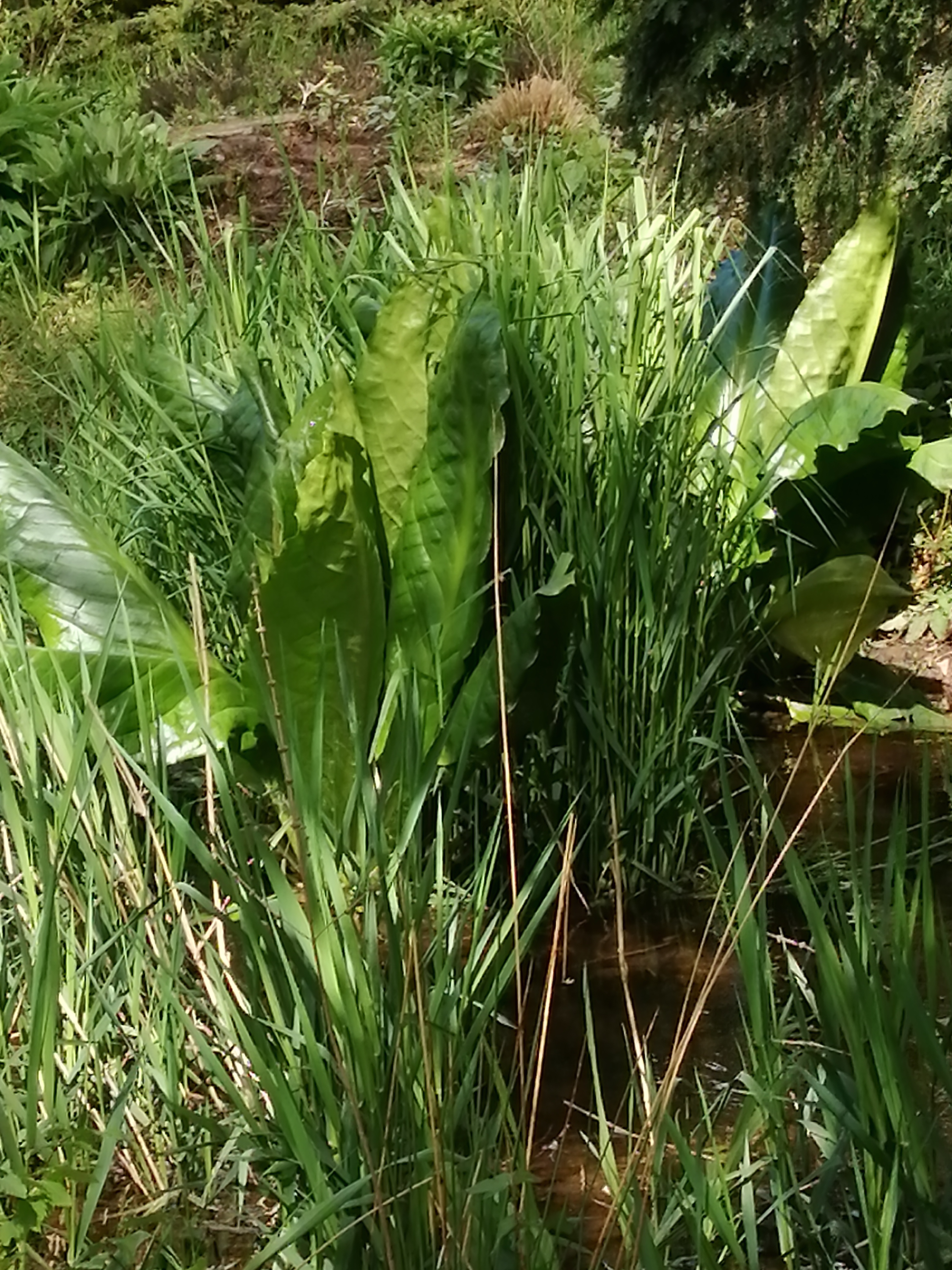 Photo n° 2 de l'avis de Odette.e fait le 17/05/2021 à 11:39
