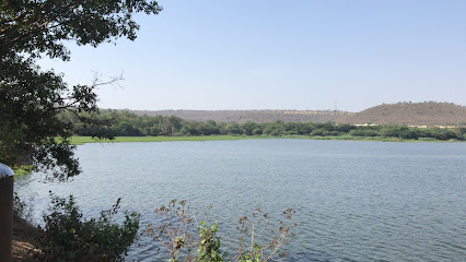 Dhom Lake in Maharashtra - Zaubee