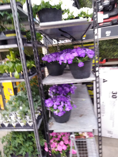 Home Improvement Store «The Home Depot», reviews and photos, 798 Main St, Johnson City, NY 13790, USA