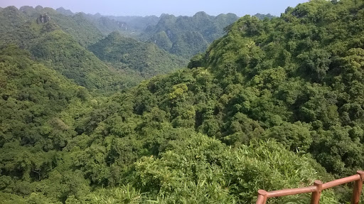 Cat Ba National Park