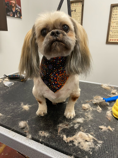 Pet Store «Healthy Pets Mountain West», reviews and photos, 2352 Fort Union Blvd, Cottonwood Heights, UT 84121, USA