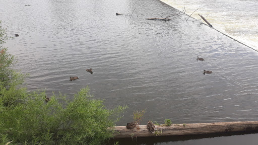 Tourist Attraction «Fish Ladder Park Grand Rapids», reviews and photos, 560 Front Ave NW, Grand Rapids, MI 49504, USA