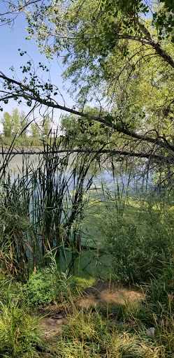 Nature Preserve «Gateway Lakes Natural Area», reviews and photos, 28th Street, Greeley, CO 80634, USA