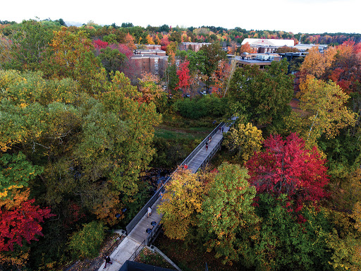 University «University of Hartford», reviews and photos