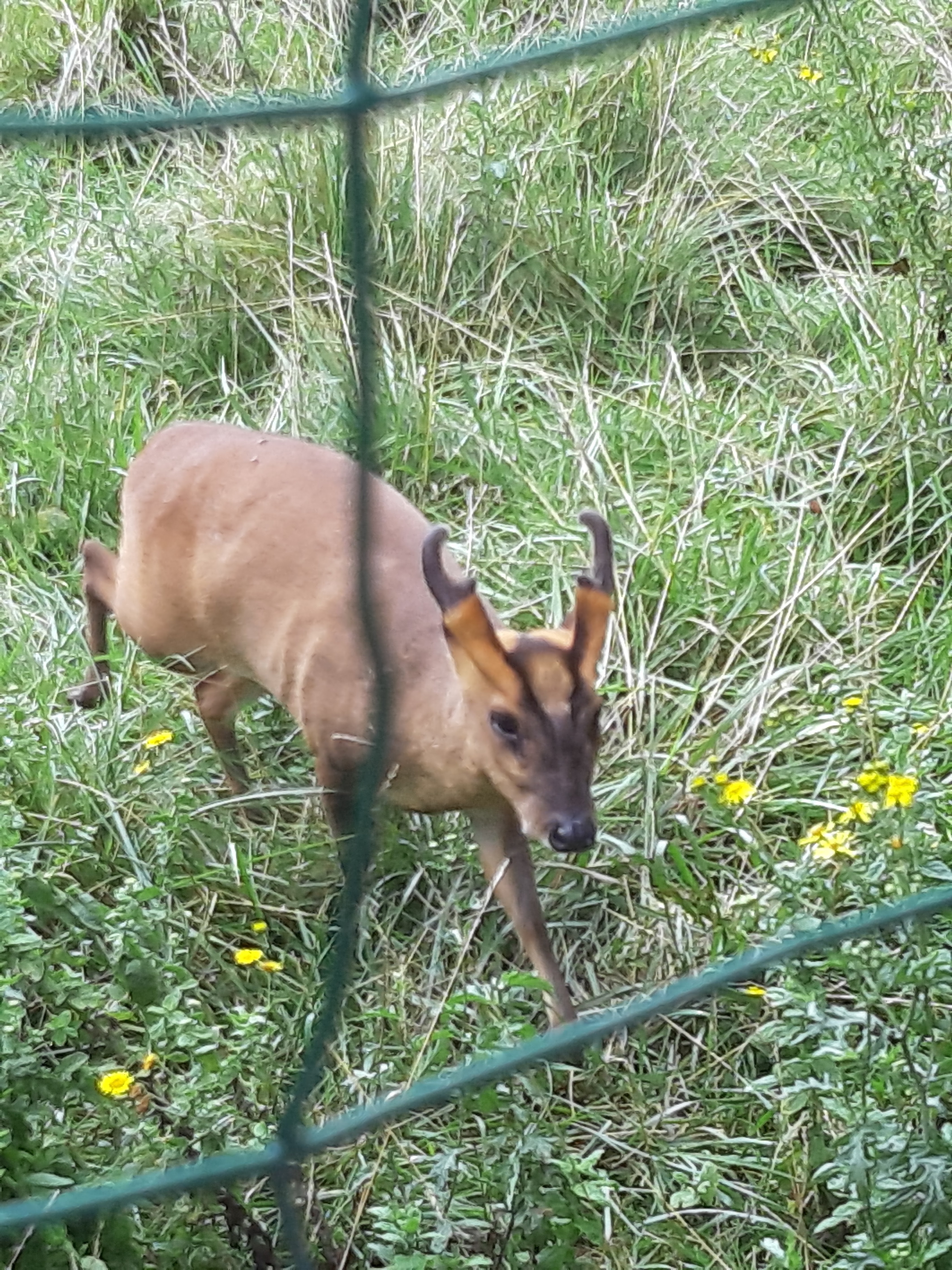 Photo n° 3 de l'avis de Cinthia.c fait le 19/08/2019 à 16:39