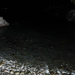 Photo n°4 de l'avis de Philippe.E fait le 03/04/2024 à 21:45 sur le  Bar Caloura à Agua de Pau