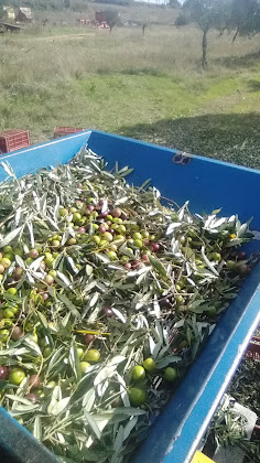 Photos des visiteurs Chambre d'hôtes Moulin de Saint-Hilaire 30250 Sommières