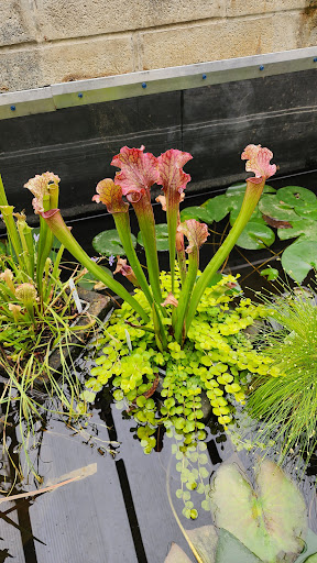 Ziegler's Ponds and Aquatic Nursery