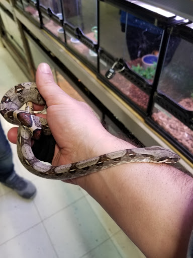 Pet Store «Gills And Thrills Pet Shop», reviews and photos, 204 E 8th St, Lockport, IL 60441, USA