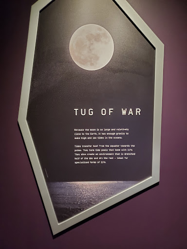 Science Museum «Cook Museum of Natural Science», reviews and photos, 133 4th Ave NE, Decatur, AL 35601, USA