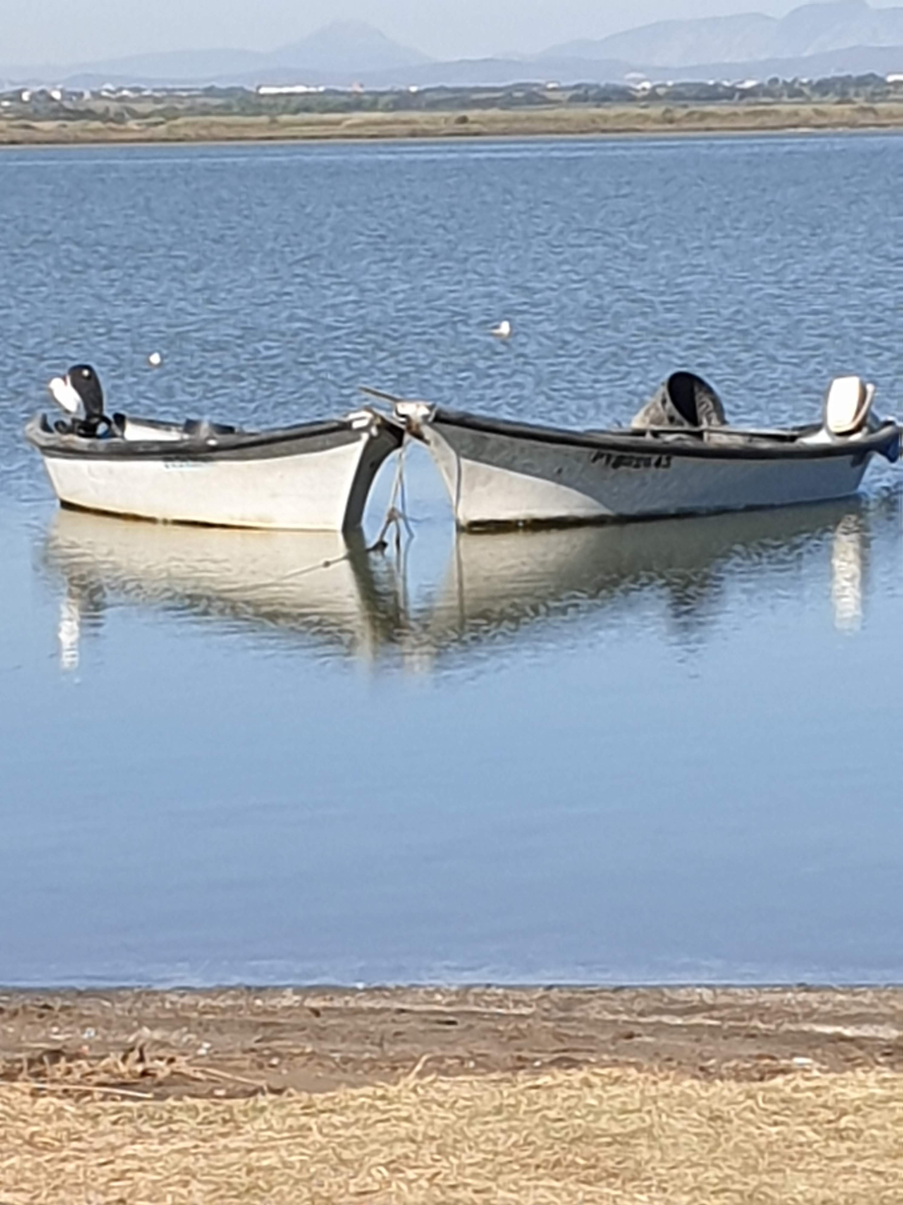 Photo n° 5 de l'avis de Maïté.O fait le 16/10/2019 à 14:54