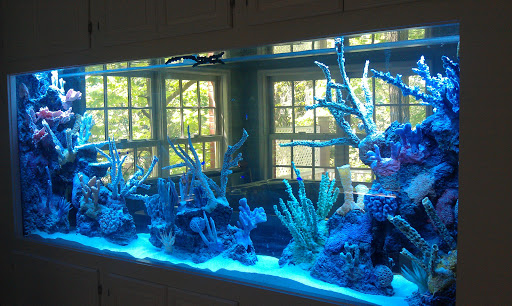 Aquarium Network image 2