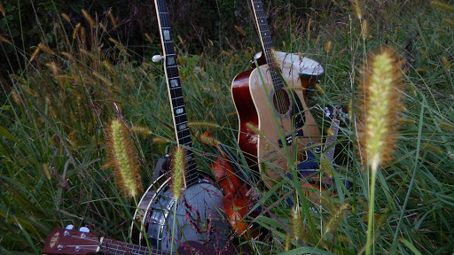 Musical Instrument Store «Weed Patch Music Company», reviews and photos, 58 E Main St #5, Nashville, IN 47448, USA