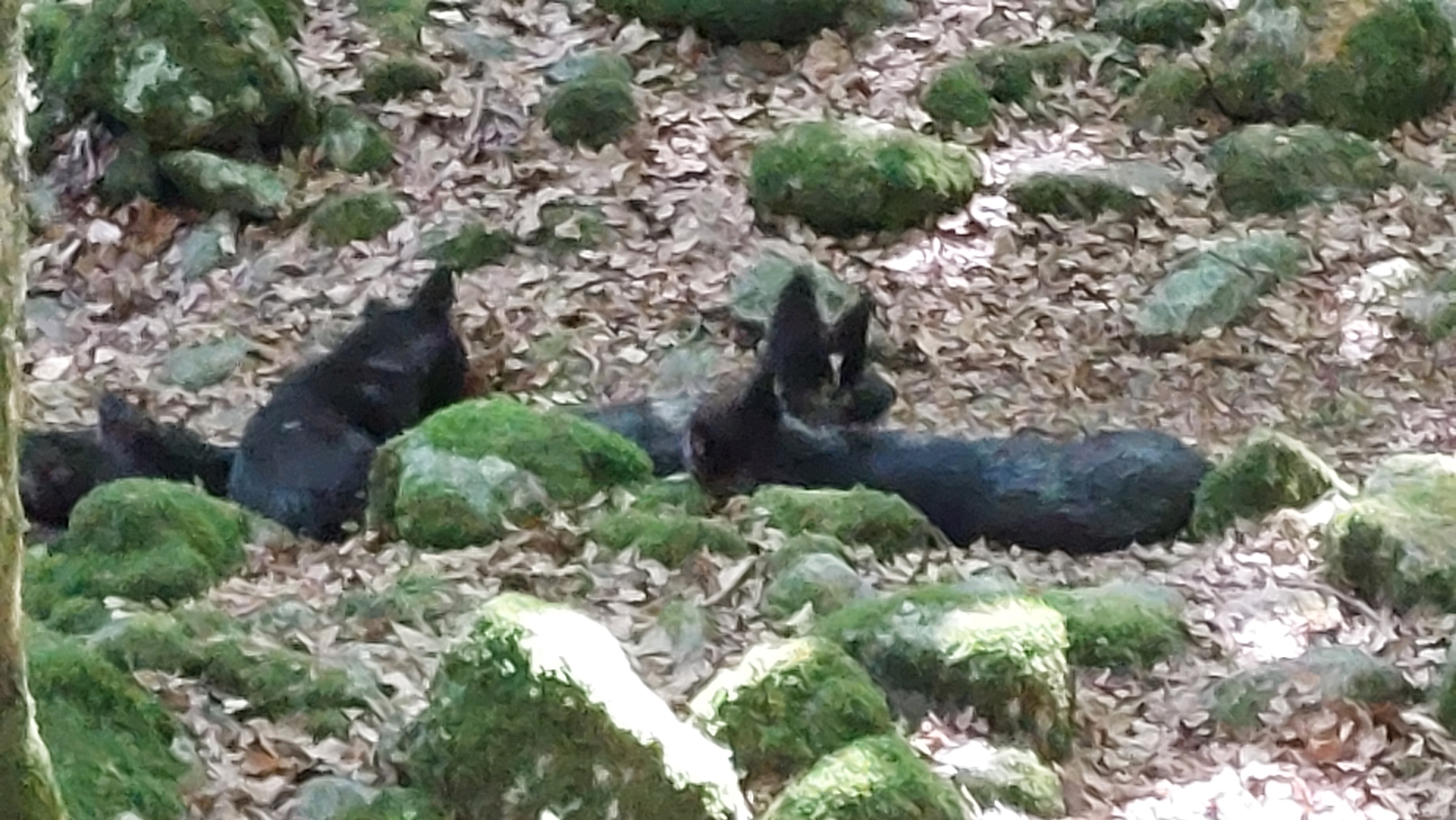 Photo n° 10 de l'avis de Stéphane.e fait le 14/08/2022 à 16:18