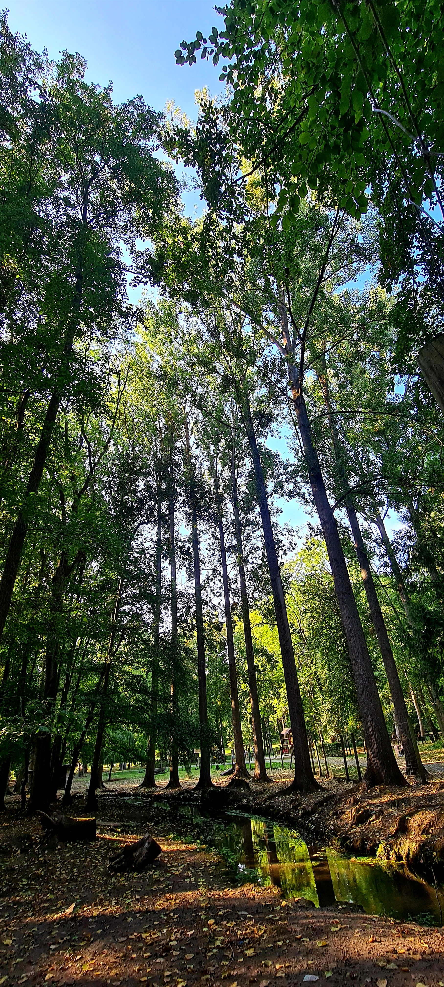 Photo n° 4 de l'avis de Giavaniz.i fait le 20/09/2020 à 17:04