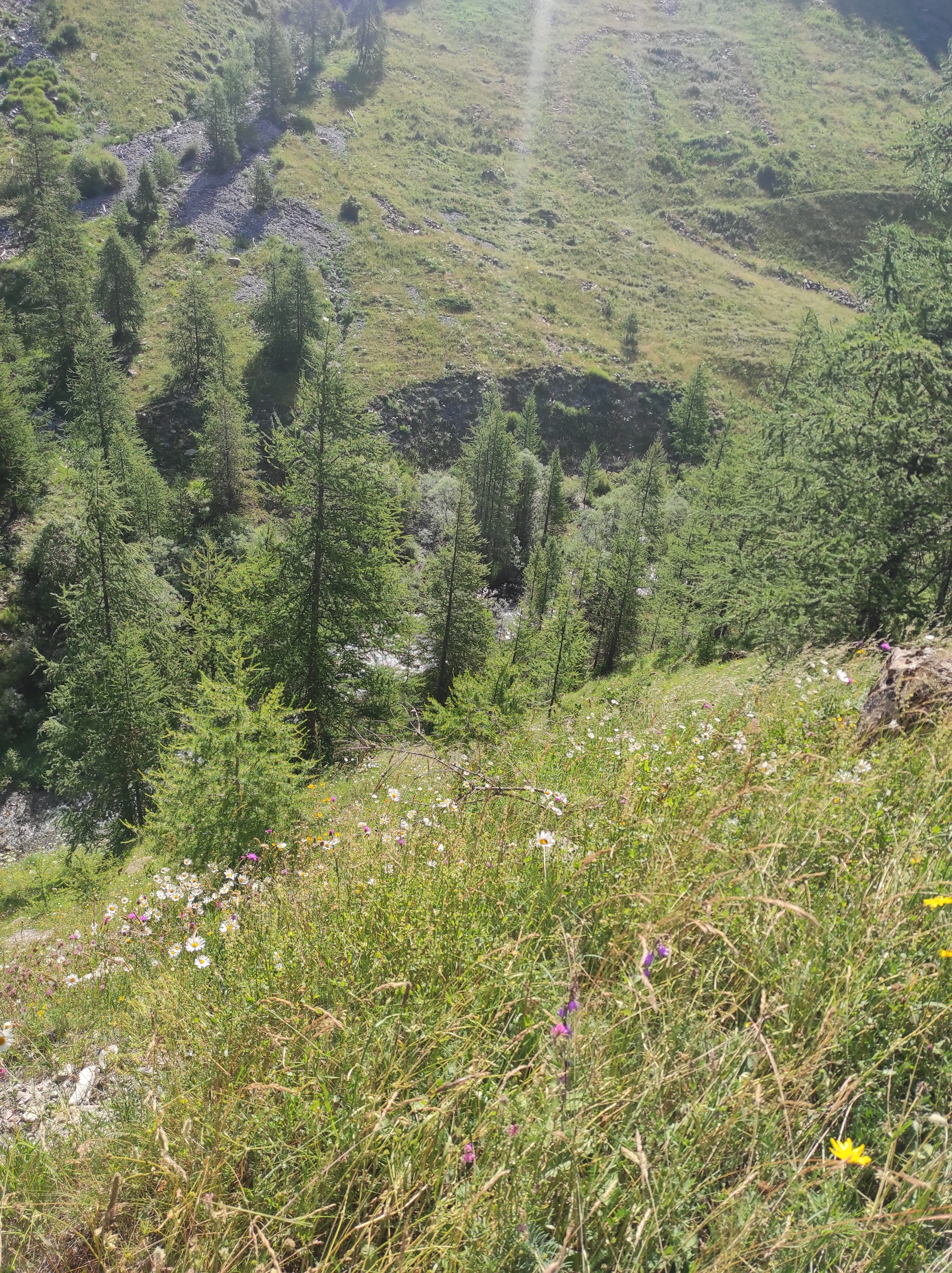 Photo n° 1 de l'avis de Fallen.n fait le 18/07/2023 à 15:12