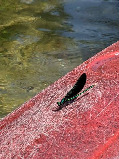 Canoe & Kayak Rental Service «Crystal River Outfitters Recreational District», reviews and photos, 6249 River Rd, Glen Arbor, MI 49636, USA