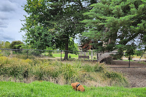Emerson Place Fenced Dog Park