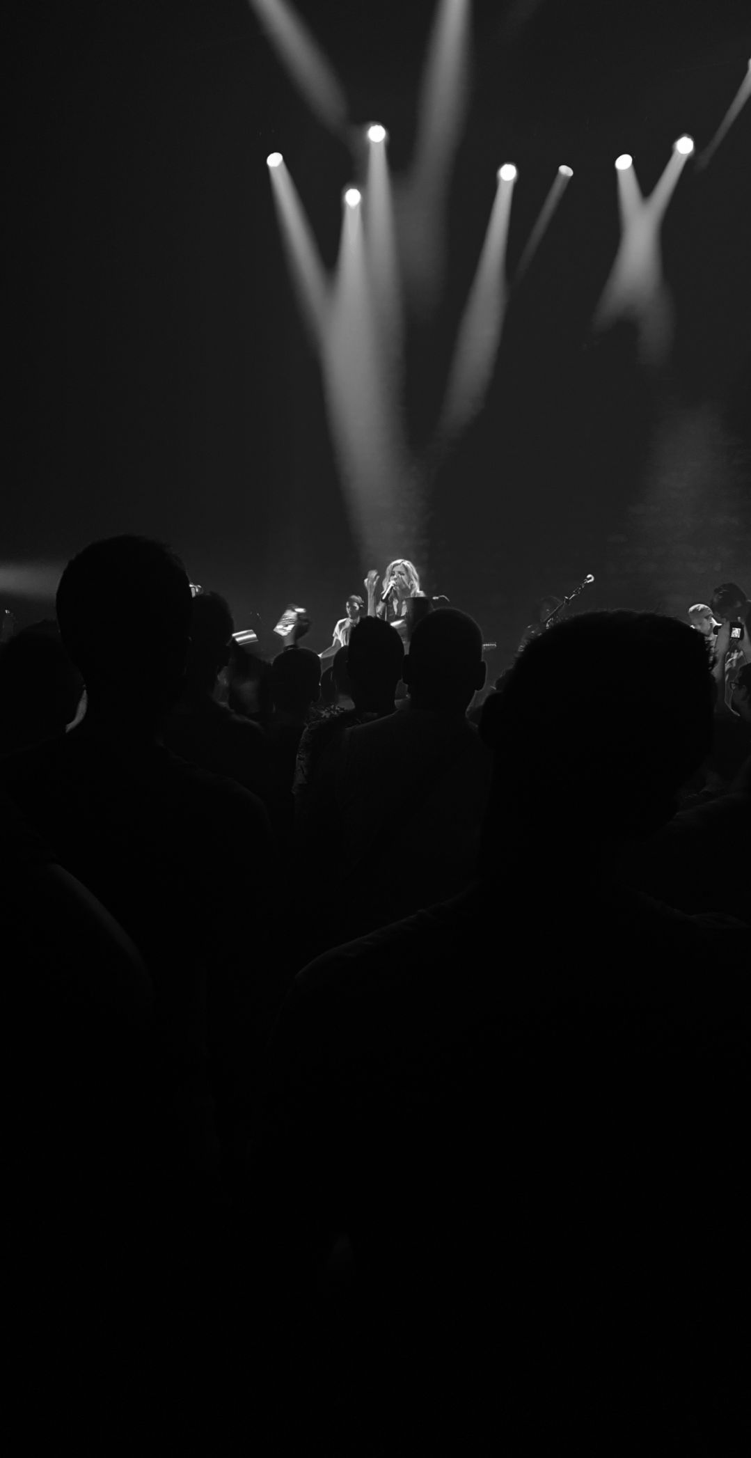 Photo n° 1 de l'avis de Brandon.e fait le 09/08/2019 à 16:54