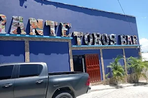 Restaurante Toros Bar image