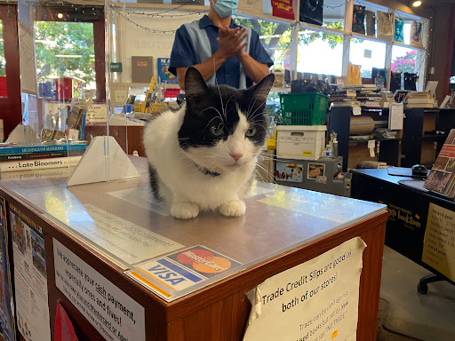 Book Store «Recycle Bookstore West», reviews and photos, 275 E Campbell Ave, Campbell, CA 95008, USA