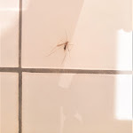 Photo n°4 de l'avis de Soll.u fait le 03/08/2022 à 06:26 sur le  SEINZ - Wisdom Resort - Seminarhaus-Biohotel-Heilzentrum à Bad Kohlgrub