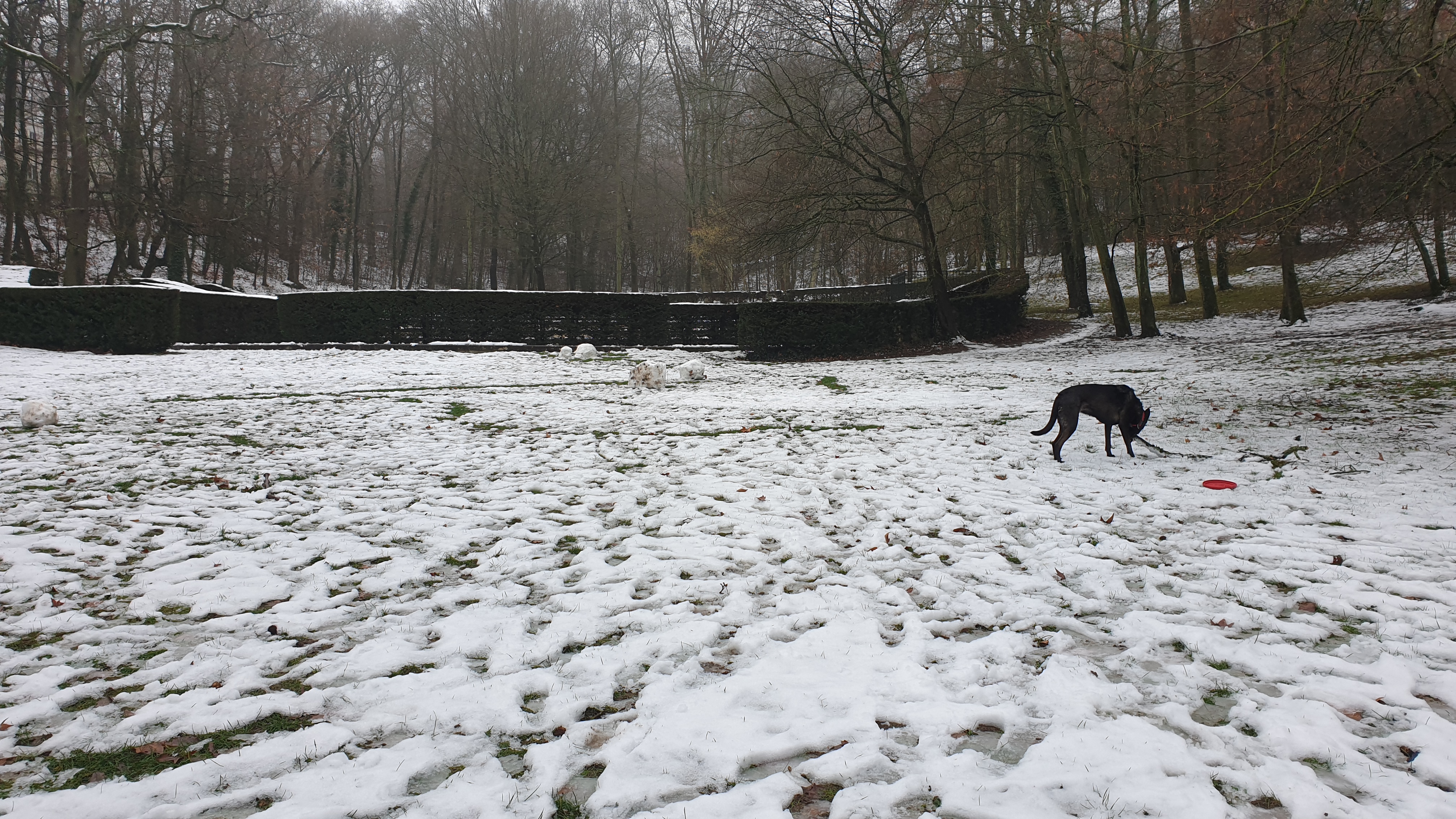 Photo n° 2 de l'avis de Pétros.a fait le 25/01/2019 à 11:11