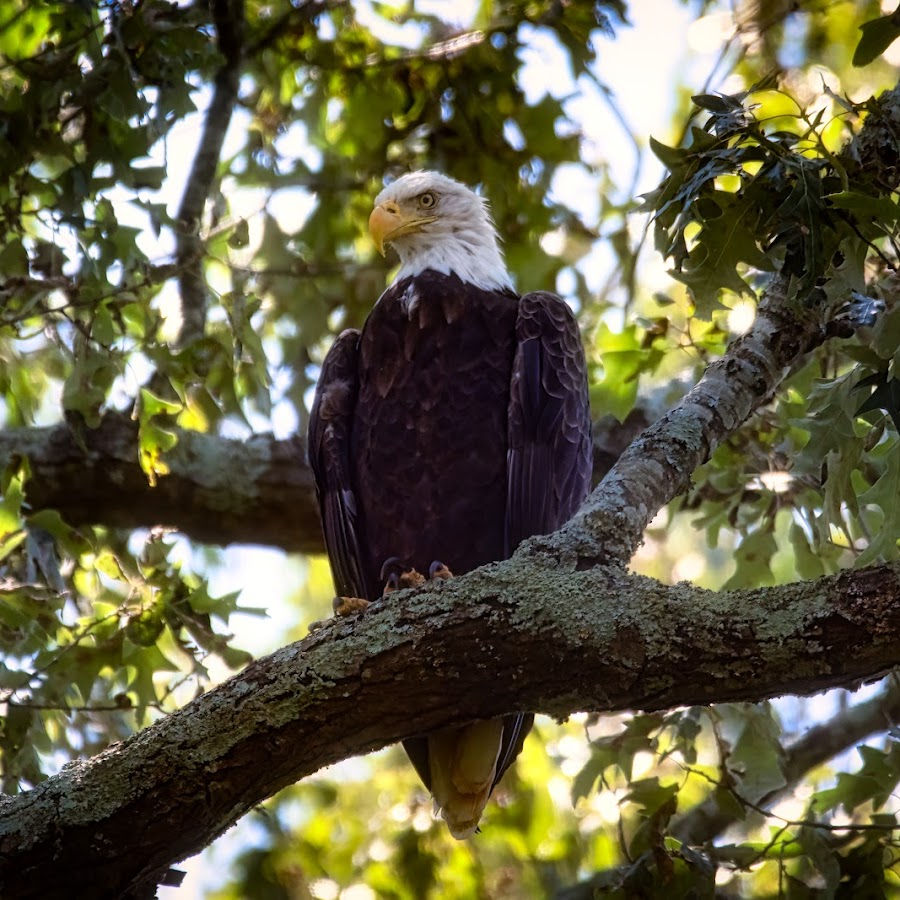 Eagle's Nest - Marshall County Park