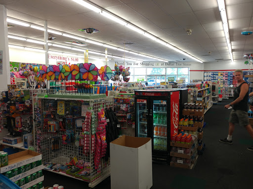 Dollar Store «Dollar Tree», reviews and photos, 5080 Commercial St SE, Salem, OR 97306, USA