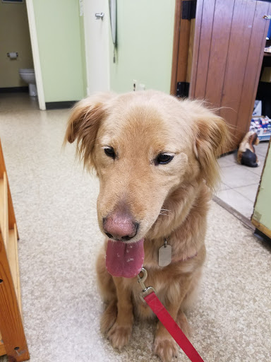 24 Randolph Rd, Silver Spring, MD 20904, USA