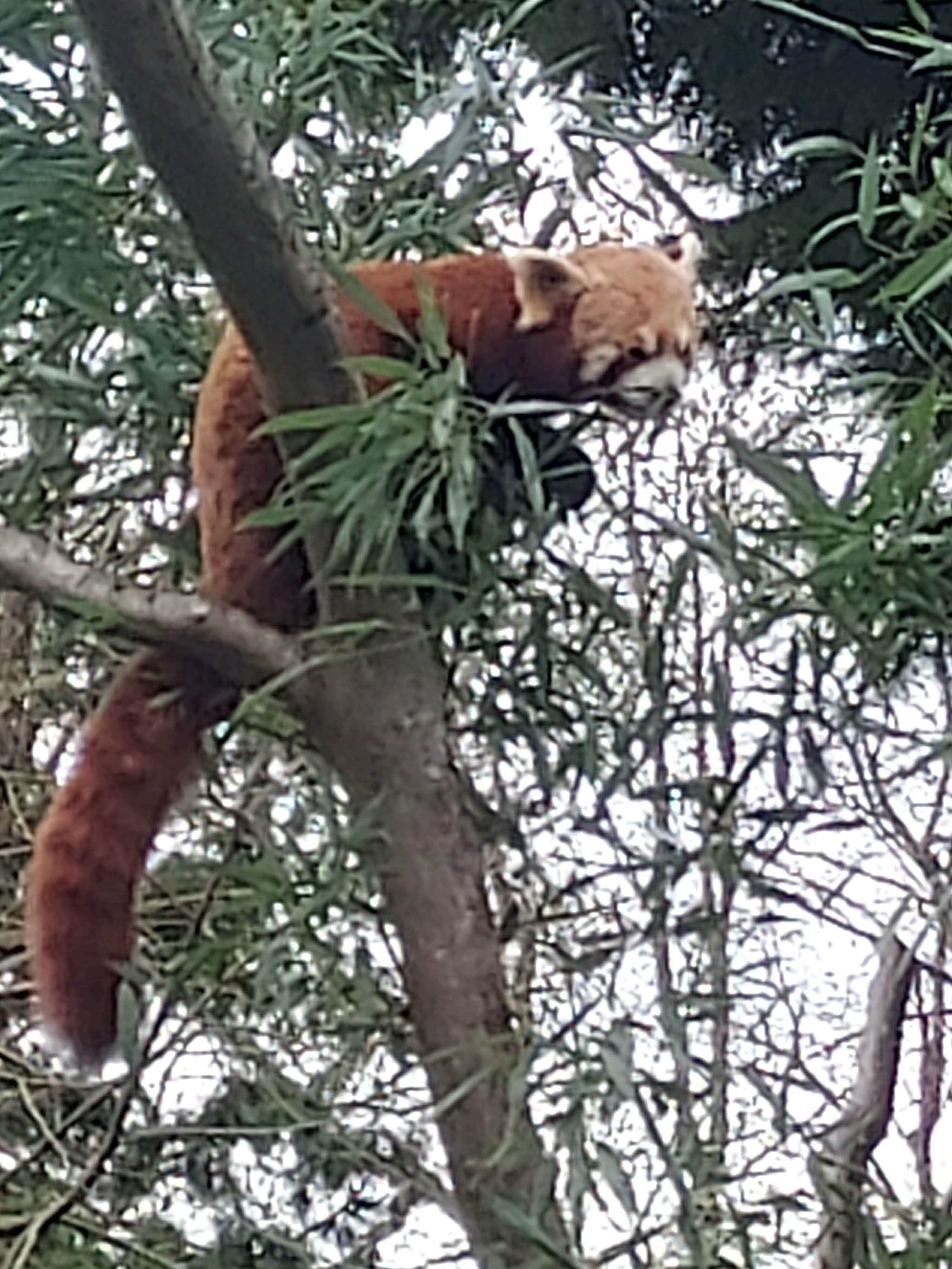 Photo n° 1 de l'avis de Camille.u fait le 13/04/2022 à 06:52