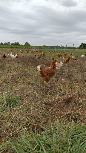 Produce Market «Blue Moon Acres», reviews and photos, 11 Willow Creek Dr, Pennington, NJ 08534, USA