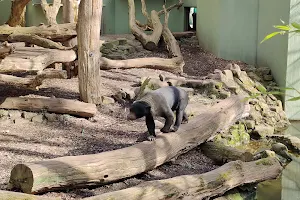 Parkplatz Allwetterzoo Münster image