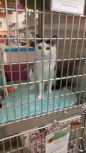 Pet Supply Store «PetSmart», reviews and photos, 30515 Av. de Las Flores, Rancho Santa Margarita, CA 92688, USA