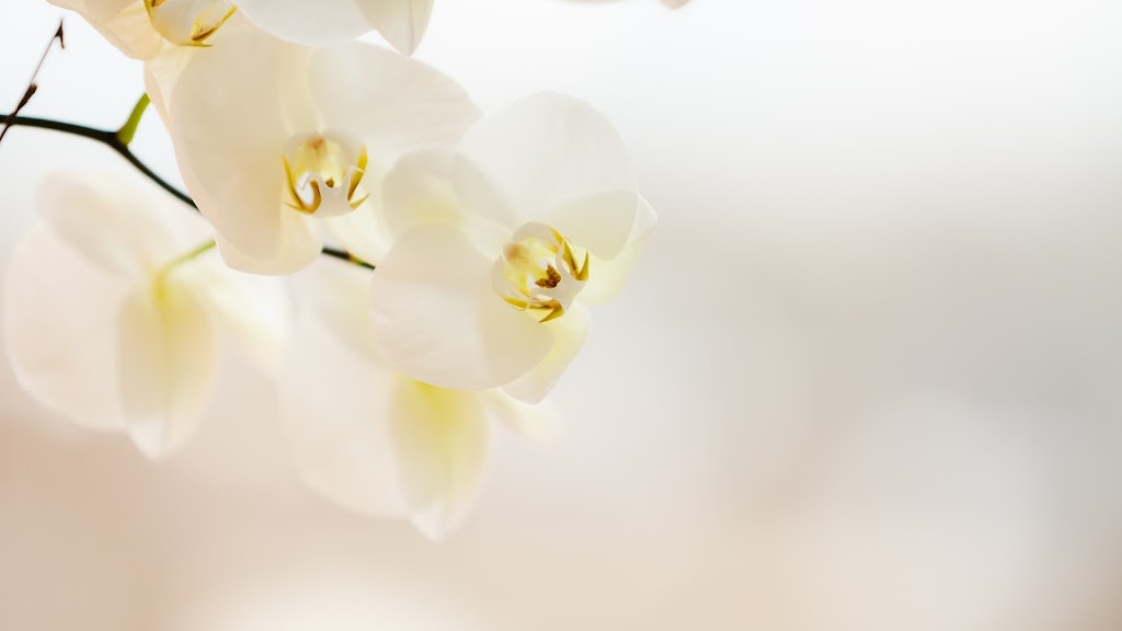 Dermatology, Laser, & Vein Specialists of the Carolinas 28207