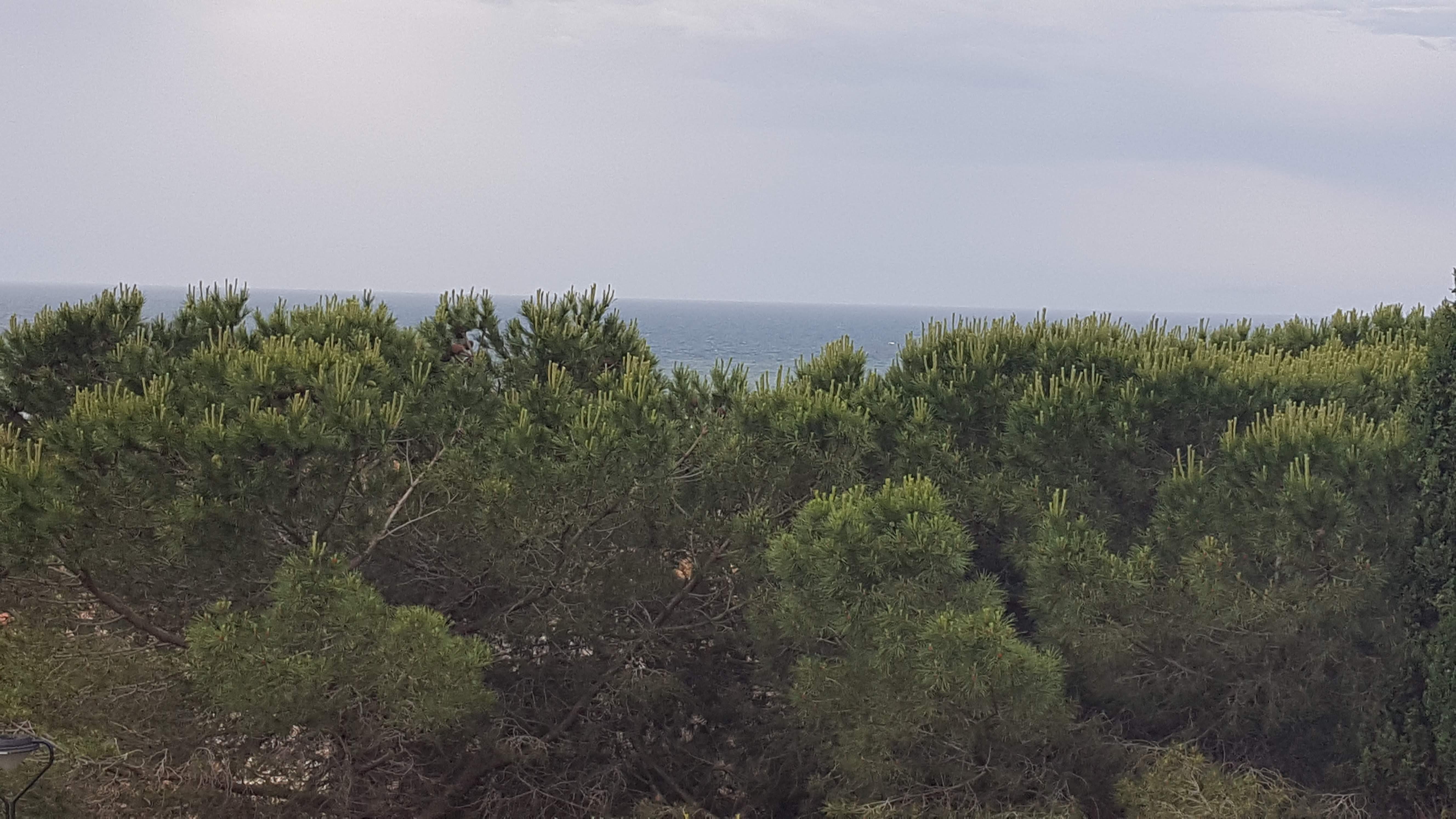 Photo n° 3 de l'avis de Chantal.a fait le 29/05/2018 à 08:05
