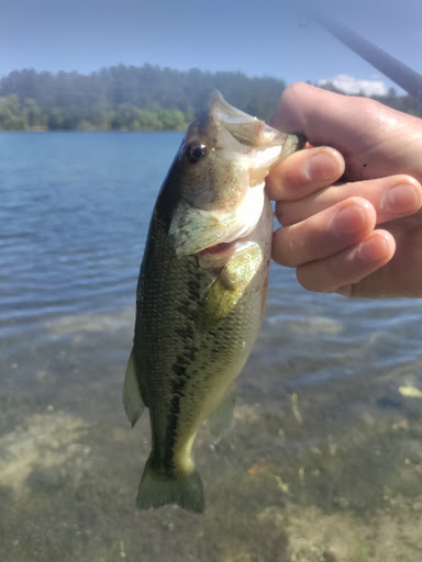 State Park «Myles Standish State Forest», reviews and photos, 194 Cranberry Rd, Carver, MA 02330, USA