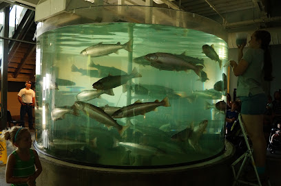 Huntsman Marine Science Centre | Fundy Discovery Aquarium