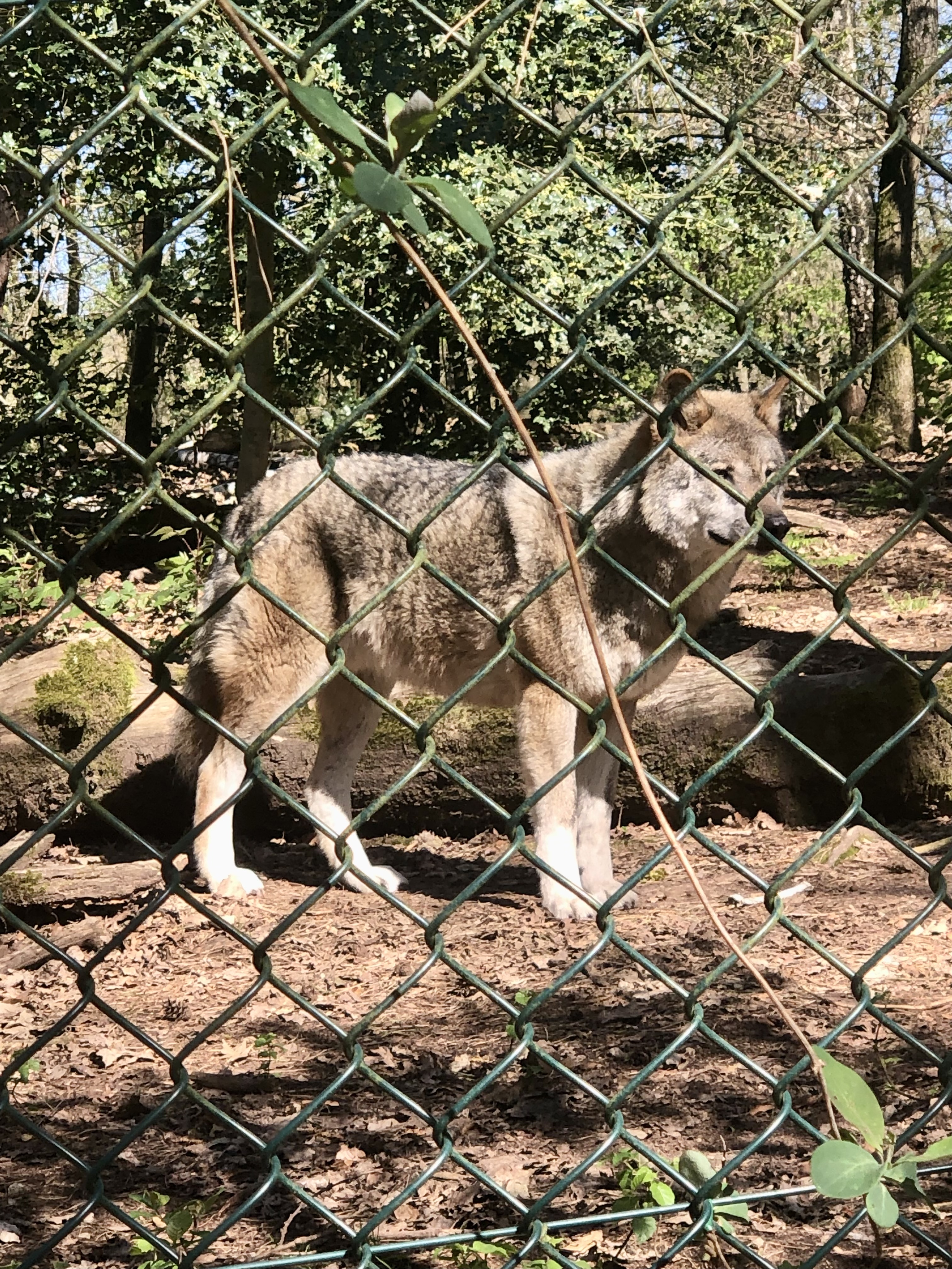 Photo n° 2 de l'avis de Ophelie.r fait le 19/04/2022 à 10:25